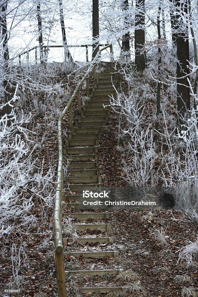 Stairway To Heaven - Lizenzfrei Baum Stock-Foto