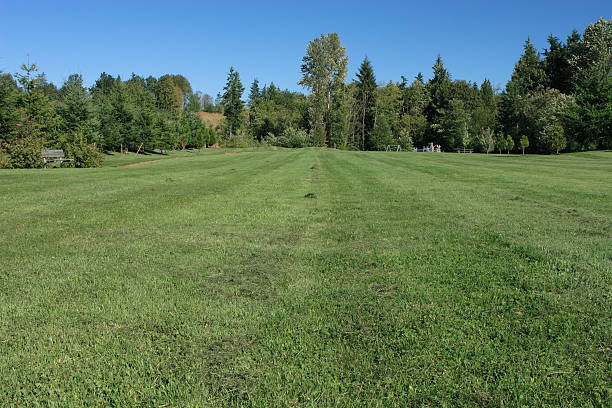 istock Green Lawn on Beautiful Day 92744649