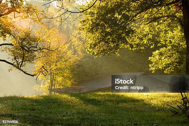 Queda De Manhã - Fotografias de stock e mais imagens de Jardim Particular - Jardim Particular, Luz, Nevoeiro