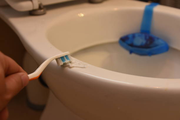 istock Cleaning a toilet with a toothbrush 927449068