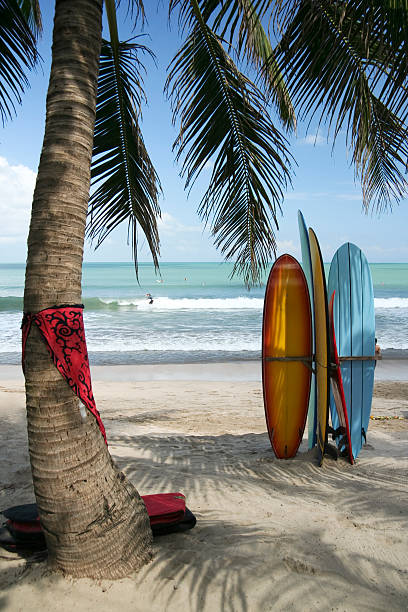 istock bali surf boards kuta beach indonesia 92745559