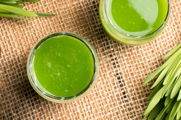 istock Two glasses of barley grass juice with fresh barley grass 927455802