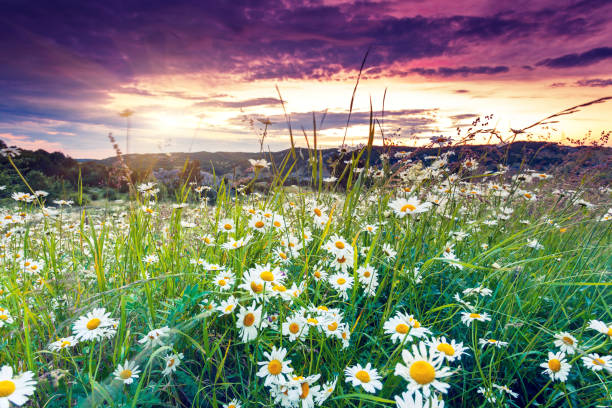 istock Majestic sunset in the mountains landscape. 927456304