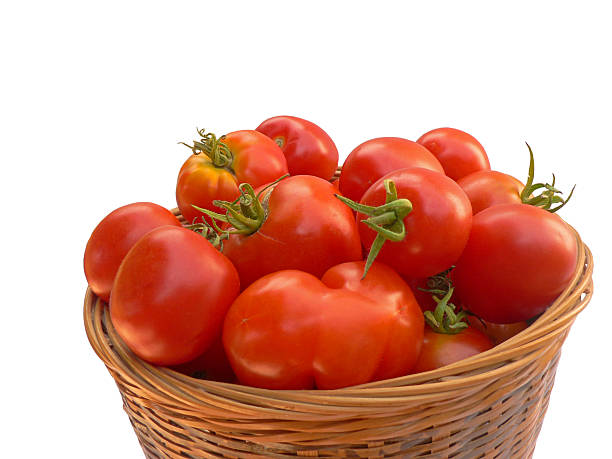 istock Basket of home-grown tomatoes 92745698