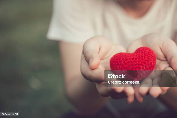 Foto de Partilha De Amor E Coração Cor Vermelha Em Mulheres Mão Em Tom De Cor Vintage De Dia Dos Namorados e mais fotos de stock de Caridade e assistência