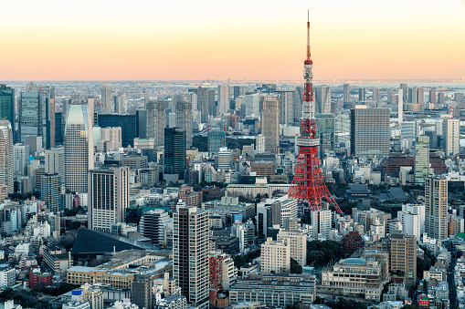 tokyo city skyline and tokyo tower before sunset