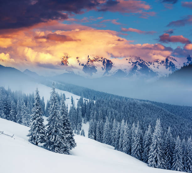 istock Majestic morning mountain landscape. 927468408