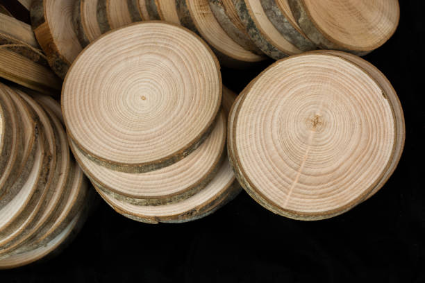 istock Small piece of cut wood logs 927468694