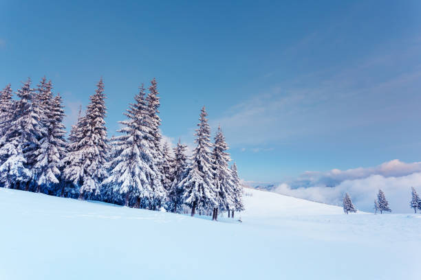 istock Fantastic winter landscape. Carpathian, Ukraine, Europe. 927468970