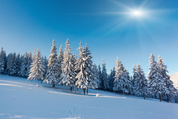 istock Fantastic winter landscape. Carpathian, Ukraine, Europe. 927471186