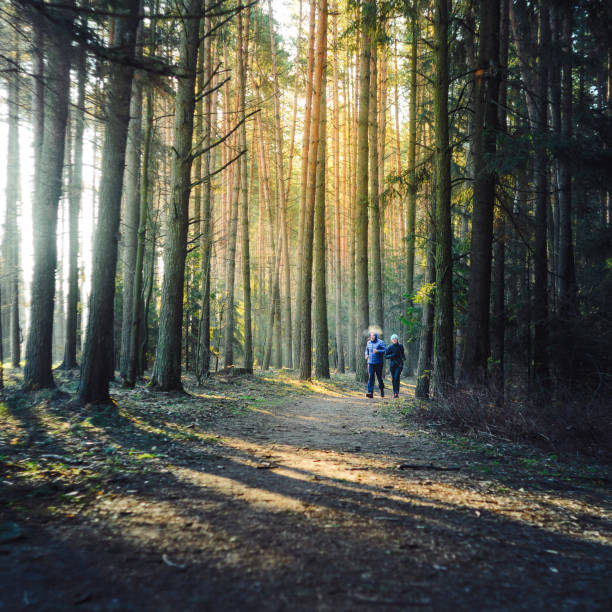 istock Couple jogging in coniferous forest 927476958
