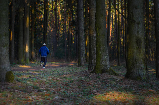 istock Man trail running in the forest 927477200