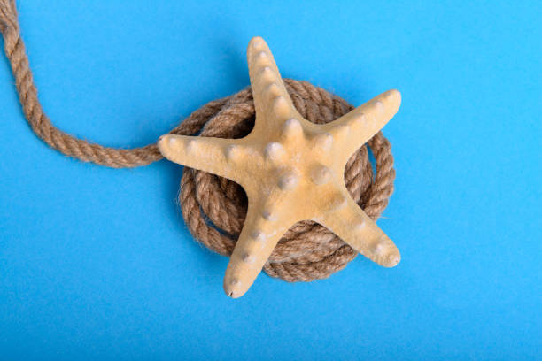 istock Big starfish on a rope in blue background 927477440