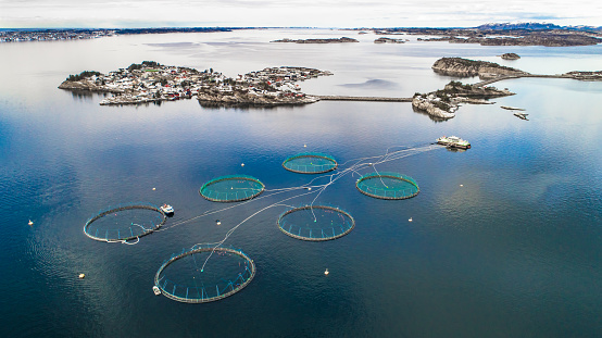 Salmon fish farm. Bergen, Norway.