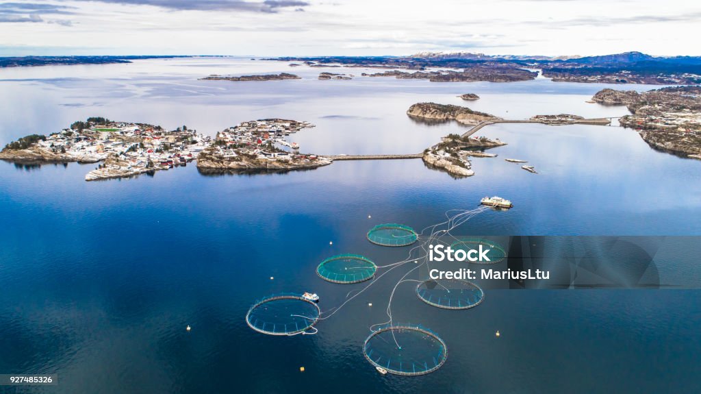 Salmon fish farm. Bergen, Norway. Fish Farm Stock Photo