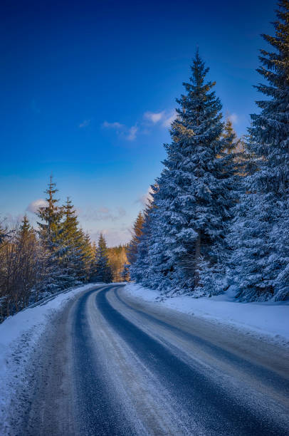 istock winter in the mountains (HDRi) 927485392