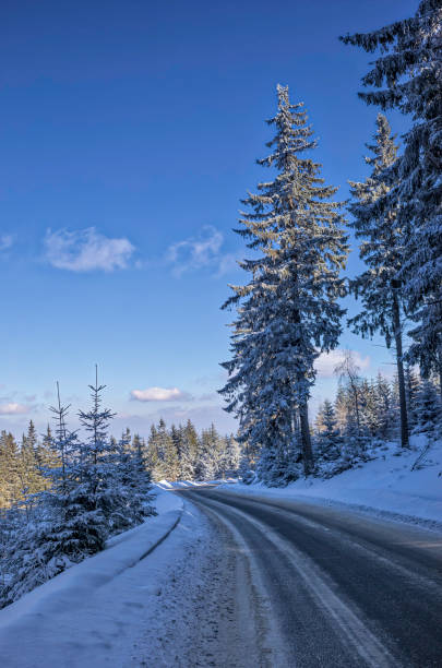 istock winter in the mountains (HDRi) 927485442