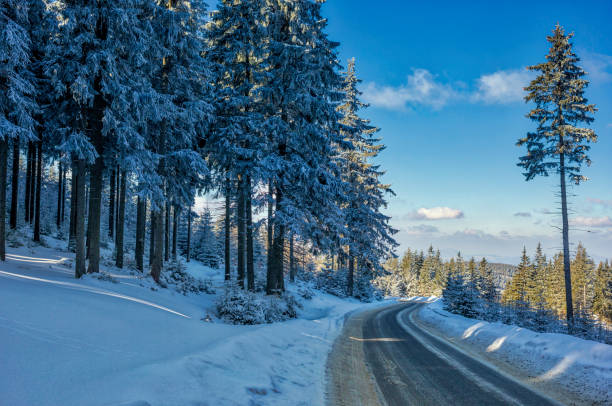 istock winter in the mountains (HDRi) 927485450