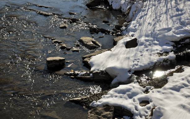 istock River winter mountain karpaty 927491874