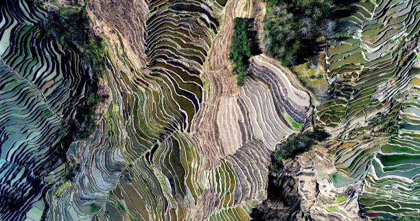 Mountainside covered with water-filled rice fields creating unique pattern. Aerial view on rice fields filled with water during spring. World's largest and most beautiful Rice Terraces, the Yuanyang Hani Rice Terraces in southeastern Yunnan province, China. irrigation equipment photos stock pictures, royalty-free photos & images