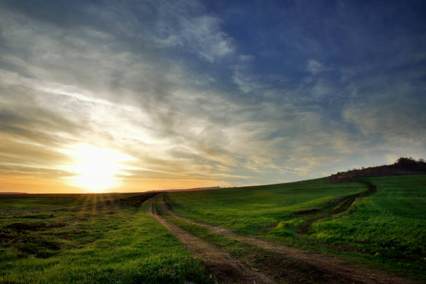 istock Country road thru the fields at sunset 927496960