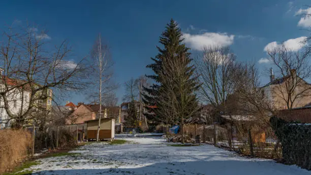 Garden in Ceske Budejovice city in winter sunny nice day