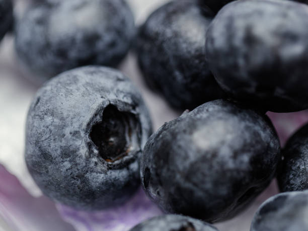istock Close Up of Blueberry 927507016