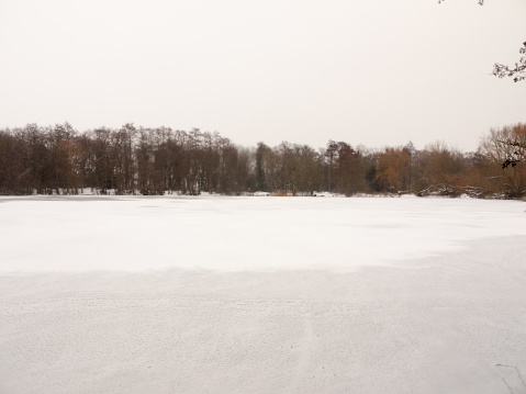 frozen over lake top surface water white snow winter bare trees; essex; england; uk