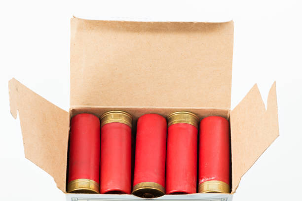 Re 12 gauge shotgun shells loaded into a cardboard box