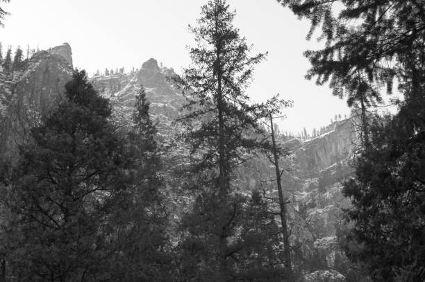 Yosemite National Park Mountain shot with a SONY DSC