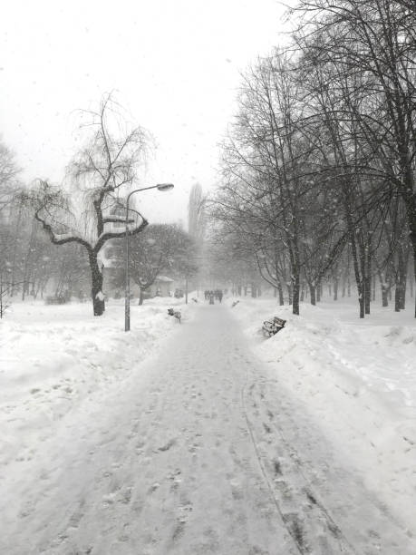 istock Snowfall in the winter park. 927525686