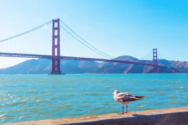 Famous Golden Gate Bridge in San Francisco, California