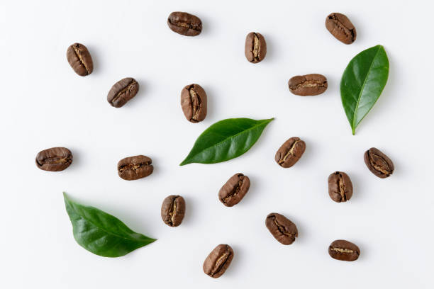 istock top view on the coffe beans with leaves on white 927533734
