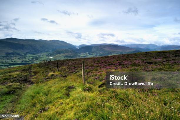 St Johns In The Vale Stock Photo - Download Image Now - Agricultural Field, Catbells, Causey Pike
