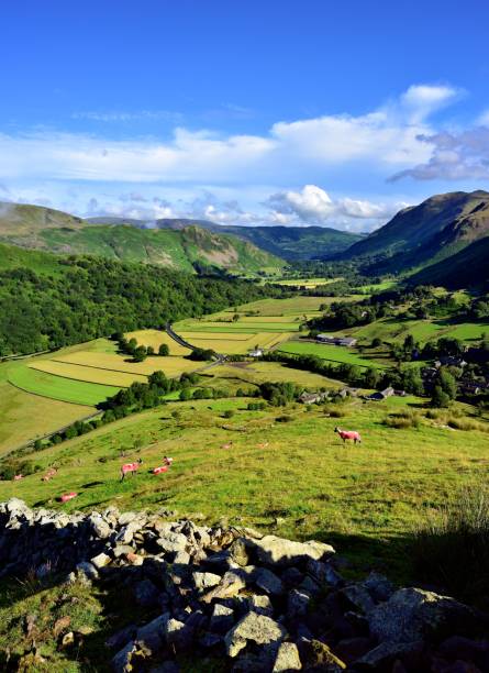 istock The fields of Hartsop 927540128