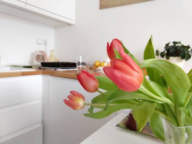 istock Tulip flower in restaurant. 927548394