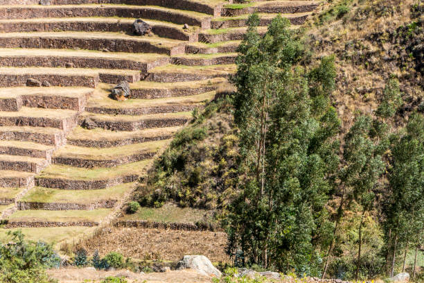istock Inca terraces in Pisac, Peru 927548924