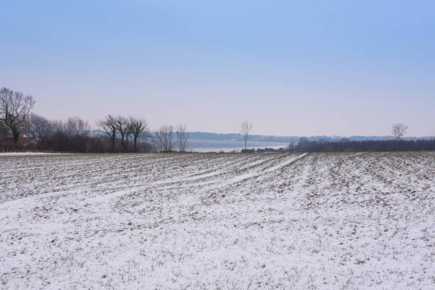 istock North Germany field under snow in winter time 927564320