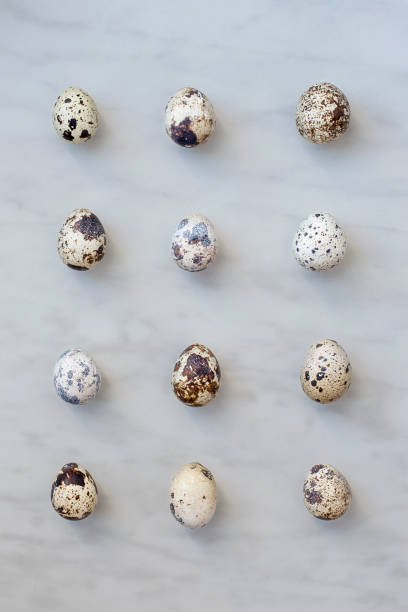istock Quail eggs on the marble surface are arranged in a row 927568682