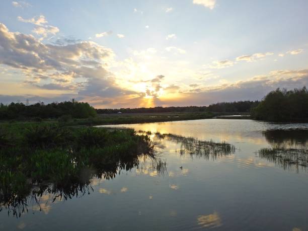istock Sunset in the Wetlands 927576498