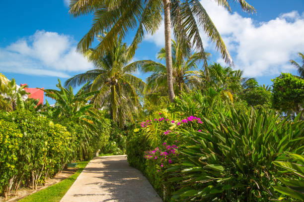 Mexico, Cancun - February 15, 2018: Park with palms and tropical plants