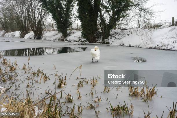 The Basingstoke Canal Captured During Snowfall In Late Winter Stock Photo - Download Image Now