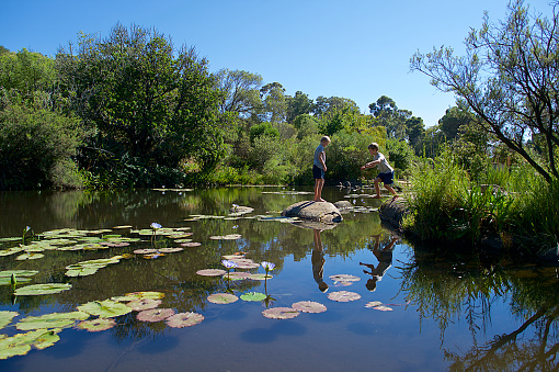 A young boy jumping from one rock to another where his brother is waiting over water in a natural pool with water lilies and trees behind with his perfect reflection close to Paarl Rock Paarl Cape Winelands Cape Town South Africa