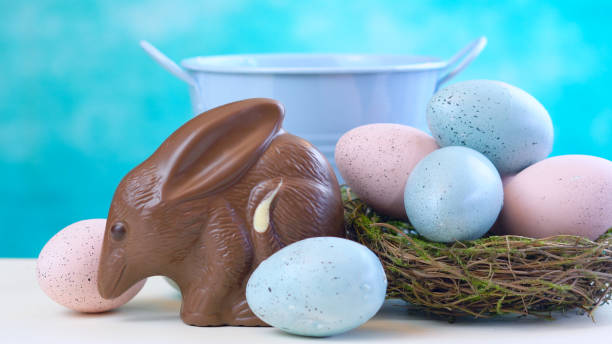 Australian milk chocolate Bilby Easter egg with eggs in nest