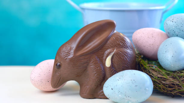 istock Australian milk chocolate Bilby Easter egg with eggs in nest and copy space 927603358