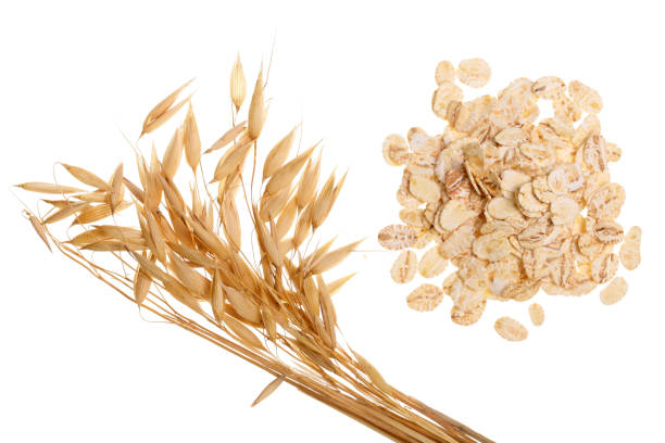 istock oat spike with oat flakes isolated on white background. Top view 927603488