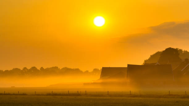 istock Orange farm sunrise agricutural scenery 927605004