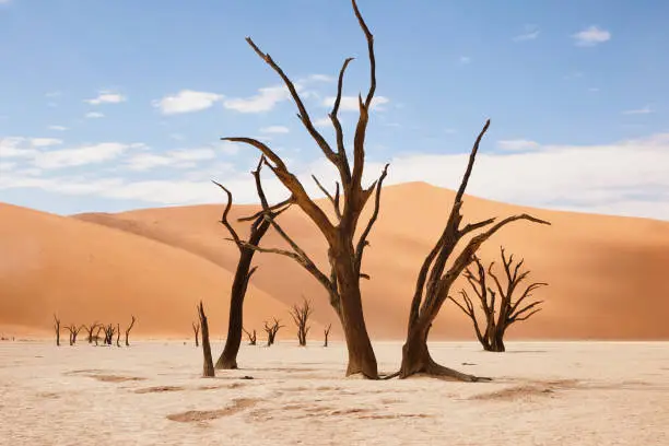 beautiful landscape in the Namib desert at Deadvlei