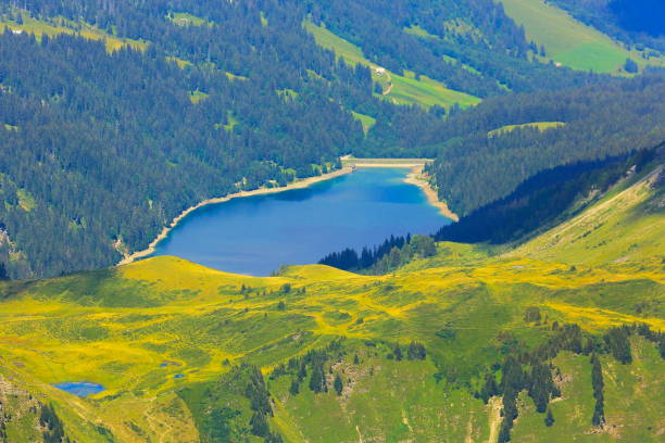 istock Lake Dam from above: Alpine valley and meadows, Swiss Alps, Switzerland 927632608