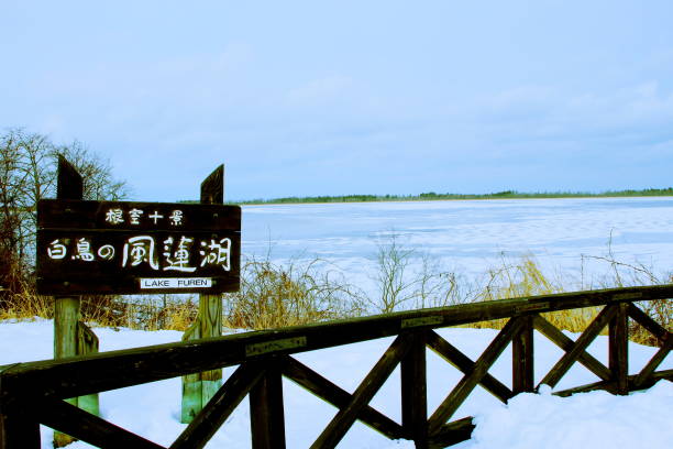 Frozen Lake furen Lake stock photo
